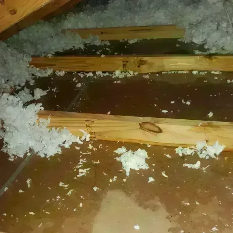 Attic Water Damage in Lake Norman of Catawba, NC