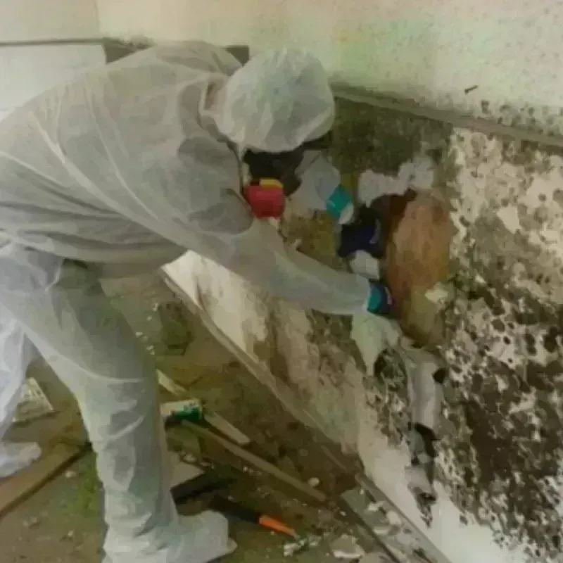 Mold Remediation and Removal in Lake Norman of Catawba, NC